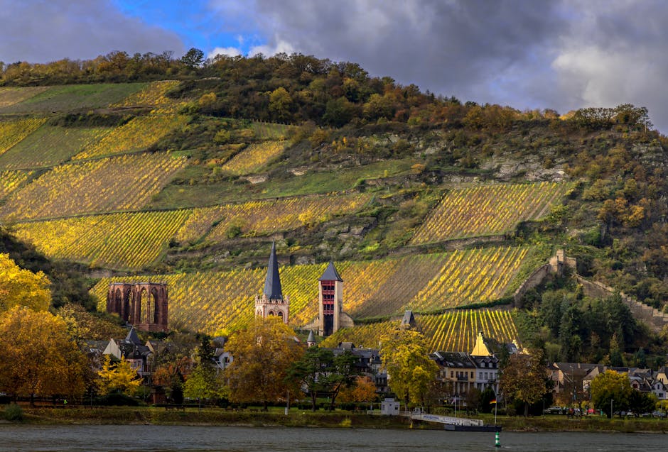 Charming hillside village with vineyards in autumn, captured during the day.