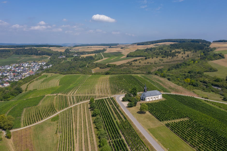 Aerial view of green plantations with furrows and rows with crops located against cloudy sky in rural terrain near settlement
