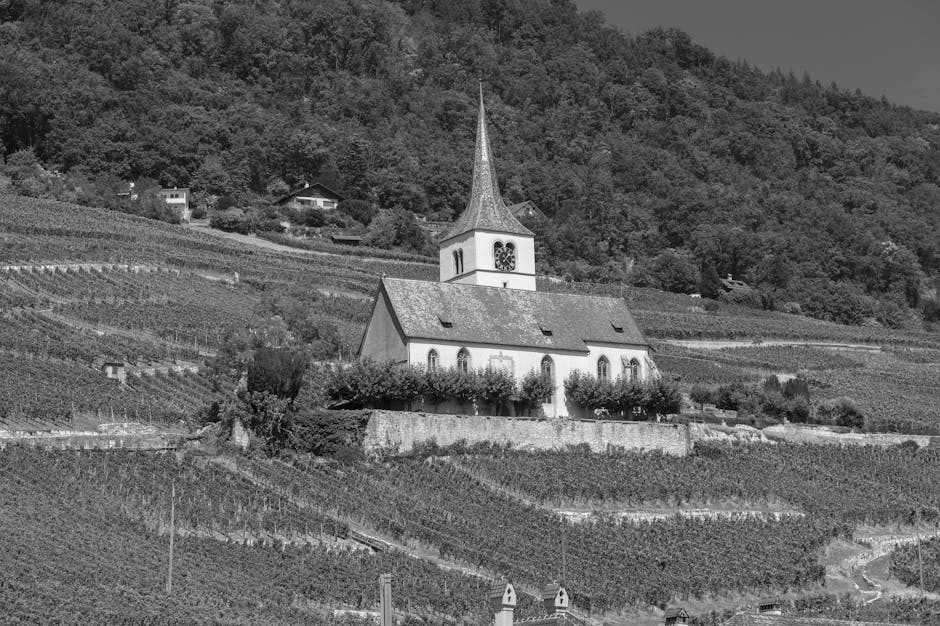 A scenic view of a traditional Swiss church amidst lush vineyards on a hillside.